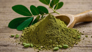 what is moringa