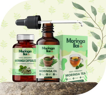 premium moringa powder moringa tea