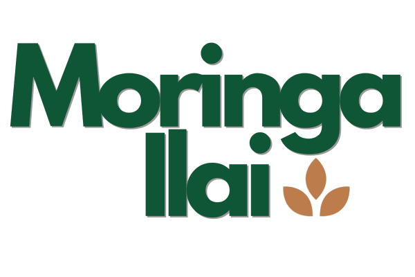 Moringailai