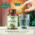 moringa capsules dosage per day
