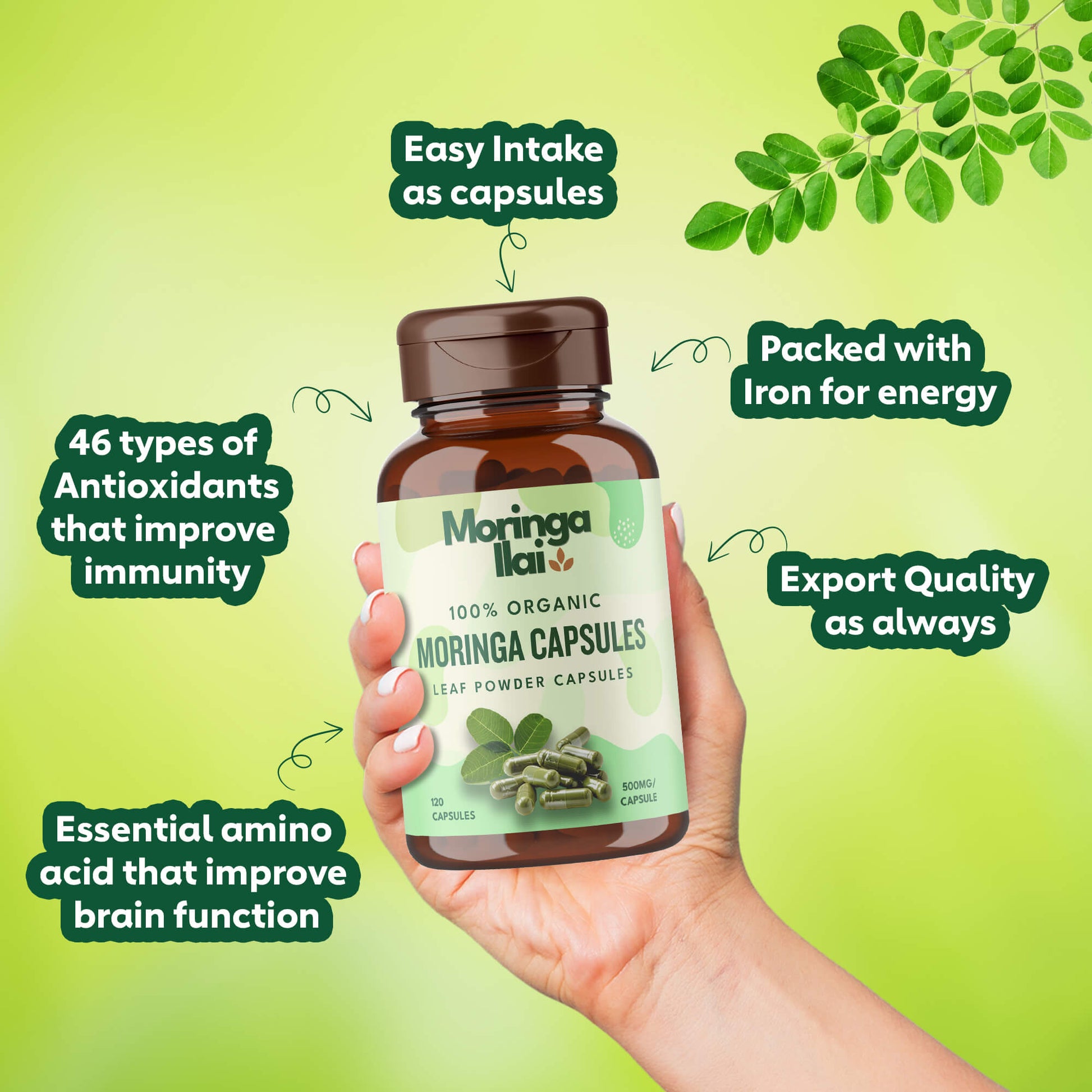 moringa capsules uses